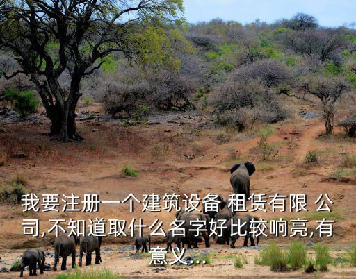 我要注冊一個建筑設備 租賃有限 公司,不知道取什么名字好比較響亮,有意義...