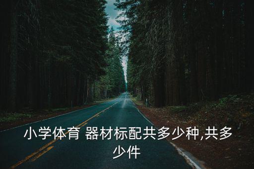 小學(xué)音樂器材清單,音樂教學(xué)用具