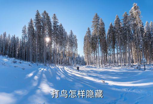  打鳥怎樣隱藏