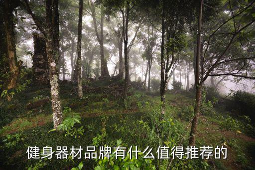 文體活動器械有哪些品牌