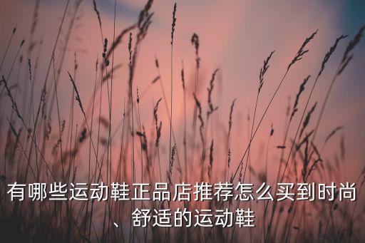 有哪些運(yùn)動(dòng)鞋正品店推薦怎么買到時(shí)尚、舒適的運(yùn)動(dòng)鞋