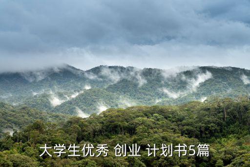 創(chuàng)業(yè)計劃書模板,大學生創(chuàng)業(yè)計劃書模板