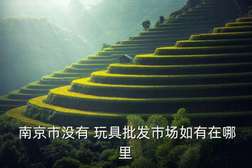  南京市沒有 玩具批發(fā)市場如有在哪里