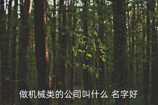 適合機械廠的名字大全,如何在茫茫大海中尋找適合自己的名字?