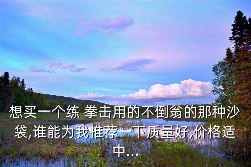 想買(mǎi)一個(gè)練 拳擊用的不倒翁的那種沙袋,誰(shuí)能為我推薦一下質(zhì)量好,價(jià)格適中...