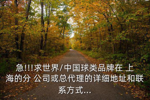 急!!!求世界/中國(guó)球類(lèi)品牌在 上海的分 公司或總代理的詳細(xì)地址和聯(lián)系方式...