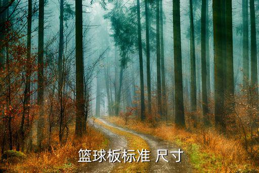 活動籃球架尺寸,國際籃聯:籃筐高度不是你說的尺寸