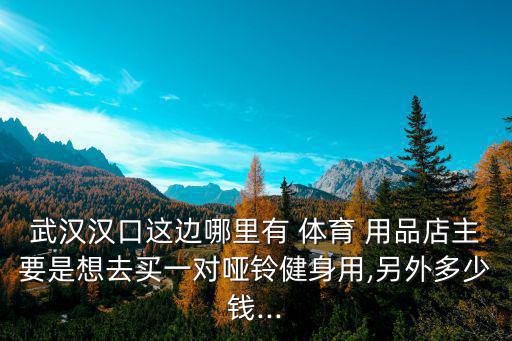 武漢漢口這邊哪里有 體育 用品店主要是想去買一對(duì)啞鈴健身用,另外多少錢...