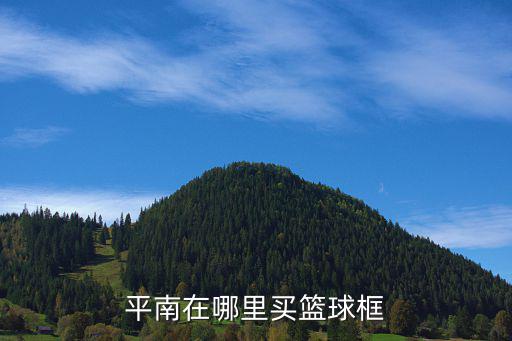 平南在哪里買籃球框