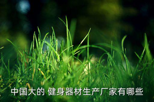 中國(guó)大的 健身器材生產(chǎn)廠家有哪些