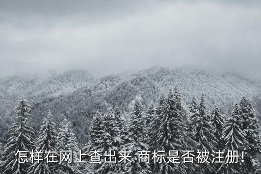 國家商標(biāo)網(wǎng)查詢商標(biāo),商標(biāo)快速查詢 商標(biāo)查詢怎么樣