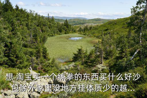 淘寶體育用品什么暢銷,淘寶認真體育用品是正品嗎