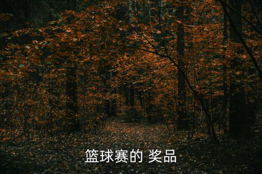 籃球賽的 獎(jiǎng)品