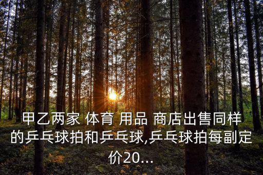 甲乙兩家 體育 用品 商店出售同樣的乒乓球拍和乒乓球,乒乓球拍每副定價(jià)20...
