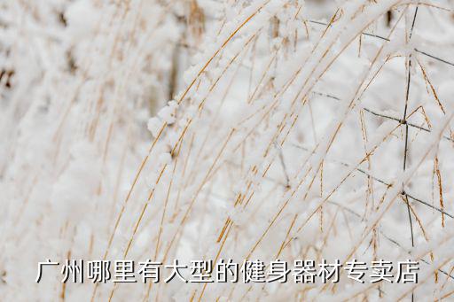 廣州哪里有大型的健身器材專(zhuān)賣(mài)店
