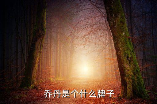  喬丹是個(gè)什么牌子