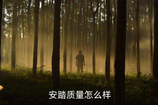 哪里收購安踏體育用品,安踏體育用品集團(tuán)有限公司怎么樣