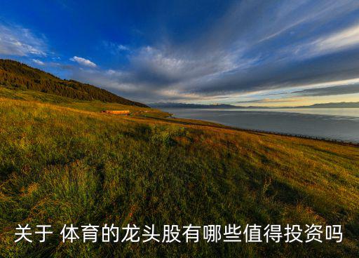 關(guān)于 體育的龍頭股有哪些值得投資嗎