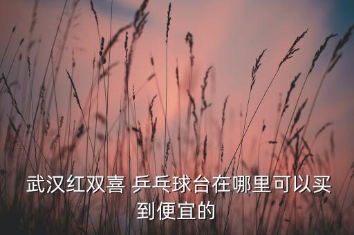 武漢紅雙喜 乒乓球臺在哪里可以買到便宜的
