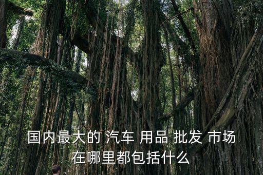 汽車(chē)用品批發(fā)市場(chǎng),中國(guó)最大汽車(chē)用品市場(chǎng)廣州黃石汽車(chē)配件店