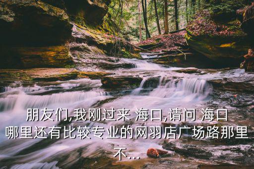 朋友們,我剛過(guò)來(lái) ?？?請(qǐng)問(wèn) ?？谀睦镞€有比較專業(yè)的網(wǎng)羽店廣場(chǎng)路那里不...
