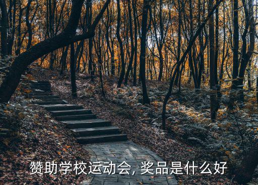 贊助學(xué)校運(yùn)動(dòng)會(huì), 獎(jiǎng)品是什么好