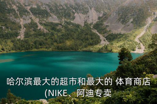 哈爾濱最大的超市和最大的 體育商店(NIKE、阿迪專賣