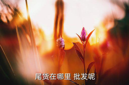 女鞋庫(kù)存尾貨批發(fā)市場(chǎng),杭州庫(kù)存尾貨服裝批發(fā)市場(chǎng)在哪里