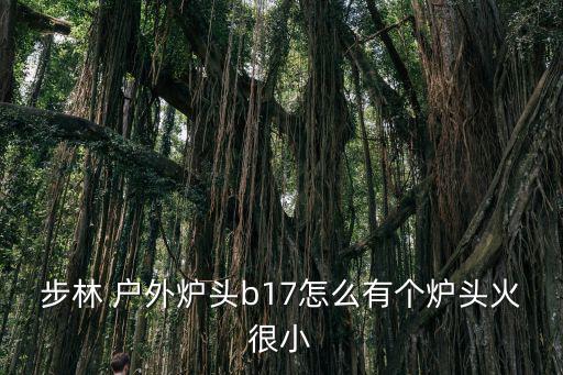 步林 戶外爐頭b17怎么有個(gè)爐頭火很小
