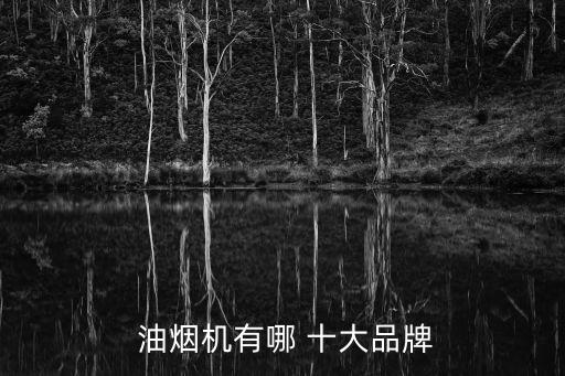  油煙機(jī)有哪 十大品牌