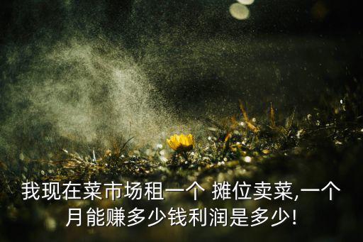 我現(xiàn)在菜市場租一個(gè) 攤位賣菜,一個(gè)月能賺多少錢利潤是多少!
