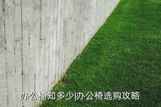 折疊式靠背椅子圖片,塑料靠背椅子價格圖片大全