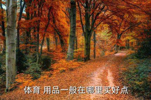  體育 用品一般在哪里買好點