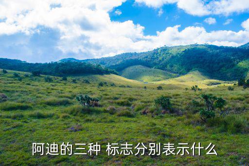各大運(yùn)動(dòng)品牌標(biāo)志,中國(guó)運(yùn)動(dòng)品牌標(biāo)志logo大全