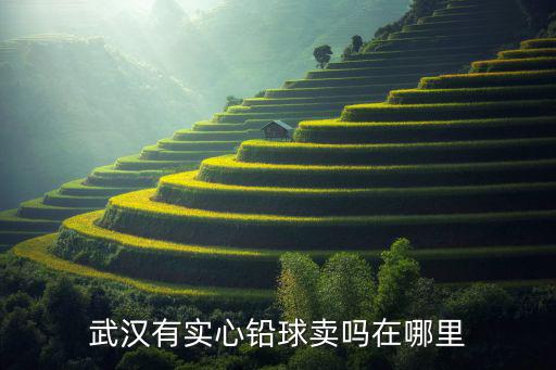 武漢有實心鉛球賣嗎在哪里