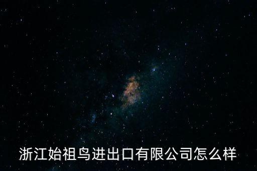浙江始祖鳥進(jìn)出口有限公司怎么樣