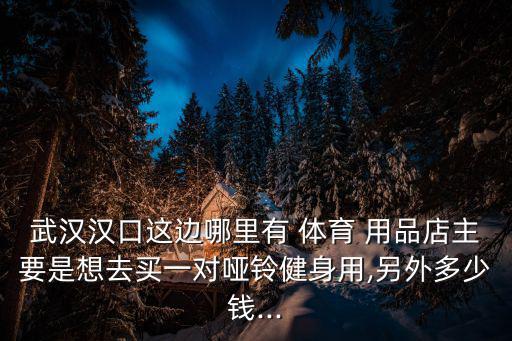 武漢漢口這邊哪里有 體育 用品店主要是想去買一對啞鈴健身用,另外多少錢...