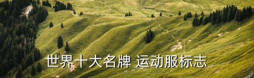 美國牌運(yùn)動(dòng)衣服品牌排行,運(yùn)動(dòng)衣服的品牌都有哪些