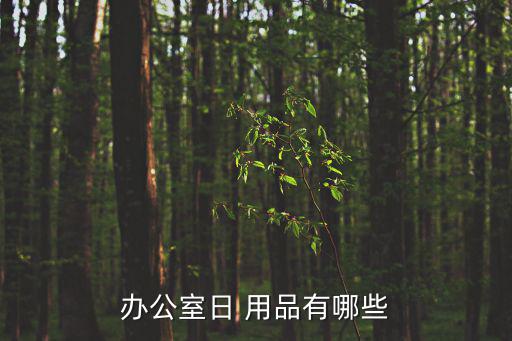 日雜用品種類明細,五金日雜店進貨明細表