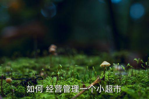 如何 經(jīng)營管理一個小超市