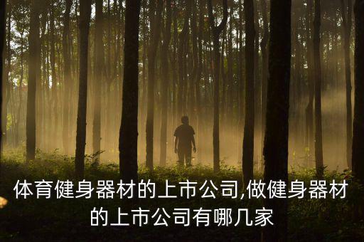 生產(chǎn)體育健身器材的上市公司,做健身器材的上市公司有哪幾家?