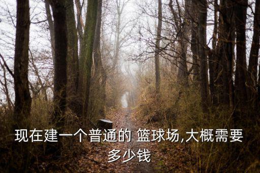 籃球架安裝費(fèi)一個(gè)多少錢(qián),一個(gè)戶(hù)外籃球場(chǎng)地鋪設(shè)費(fèi)用約4萬(wàn)元
