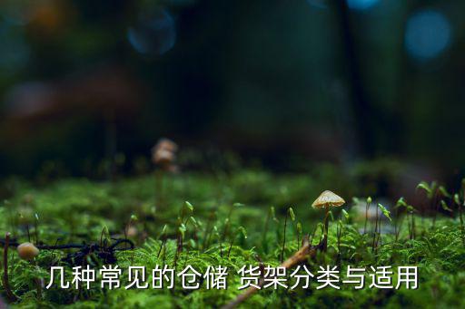 幾種常見的倉儲(chǔ) 貨架分類與適用
