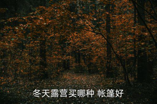 冬天露營(yíng)買哪種 帳篷好