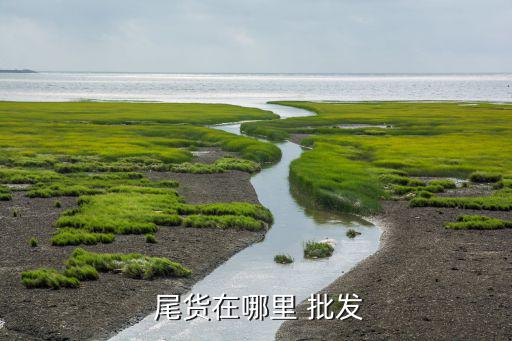 正品運(yùn)動品牌尾貨批發(fā),運(yùn)動品牌尾貨批發(fā)貨源在哪里