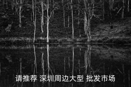 深圳哪里有體育用品批發(fā)的,深圳體育用品批發(fā)大市場(chǎng)有哪些?