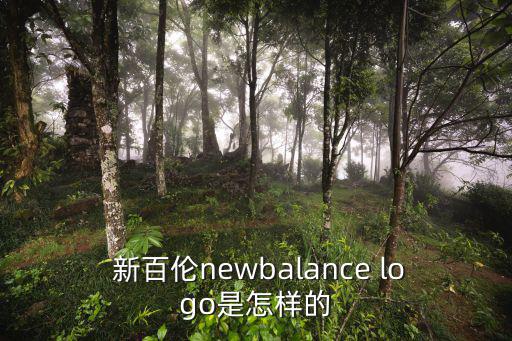 新百倫標志圖片logo,新百倫領(lǐng)先跑鞋標志是五角星!
