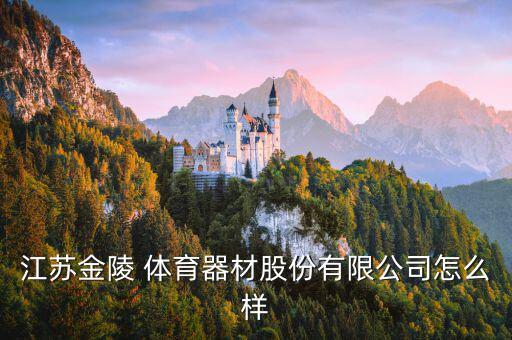 體育用品的單位是什么,單位購買體育用品做啥科目