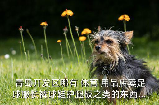 青島體育用品哪里有賣,青島如果市內(nèi)有四個(gè)區(qū)你愿意去嗎?