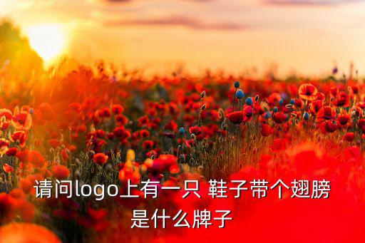 請(qǐng)問logo上有一只 鞋子帶個(gè)翅膀是什么牌子